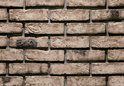 ANTIEK GESINTELD NUTH 02