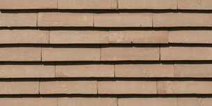 Cover C21