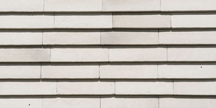 Cover C11