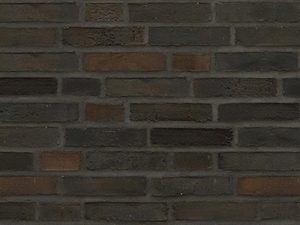 D 55